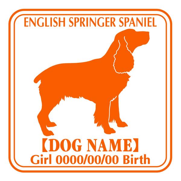 hbOV[XebJ[E CObVXvK[XpjG