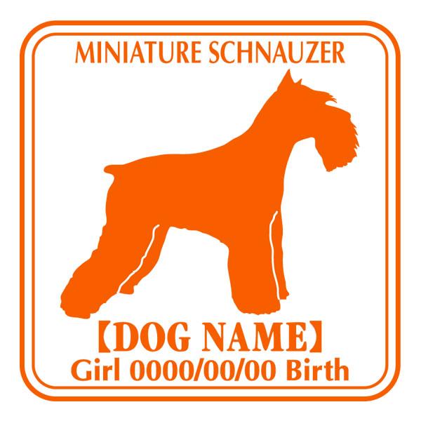 hbOV[XebJ[E@~j`AViEU[