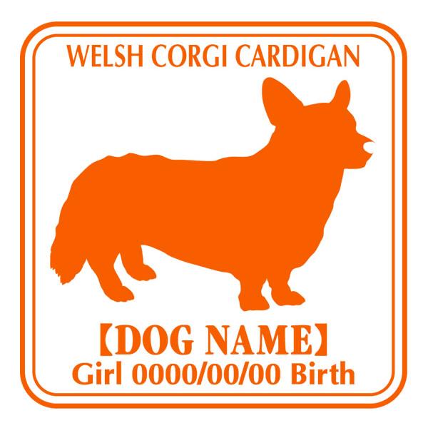 hbOV[XebJ[E EFVR[M[J[fBA