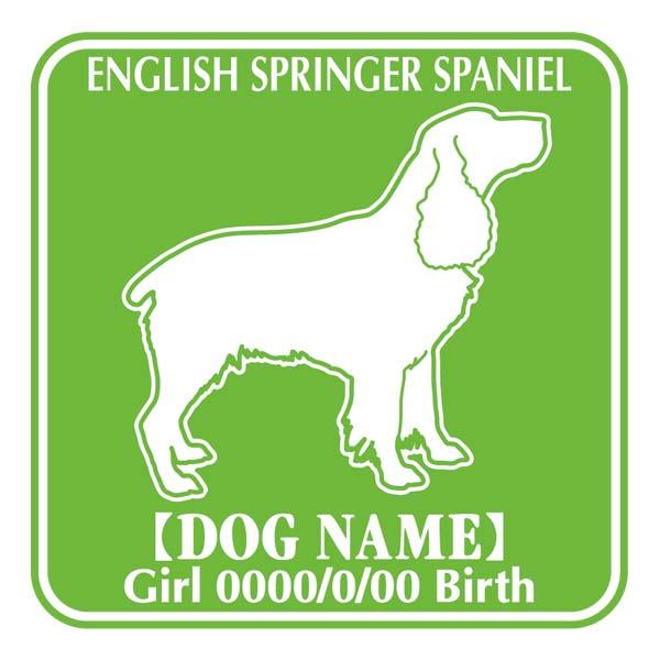 hbOV[XebJ[F CObVXvK[XpjG