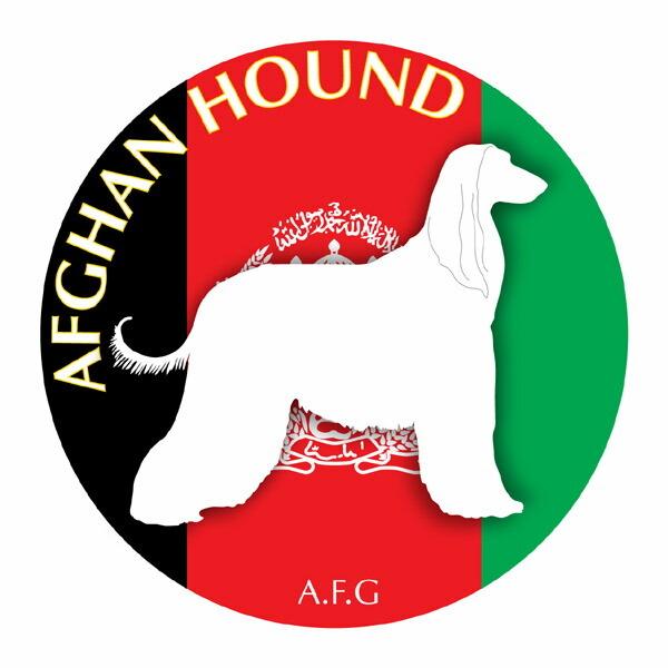 AtKnEh }EXpbh  z z ObY  CXg  Aj} hbO }EXpbg   Ck VGbg e ANZT[