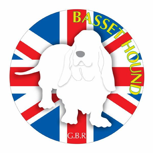 oZbgnEh }EXpbh  z z ObY  CXg  Aj} hbO }EXpbg   Ck VGbg e ANZT[