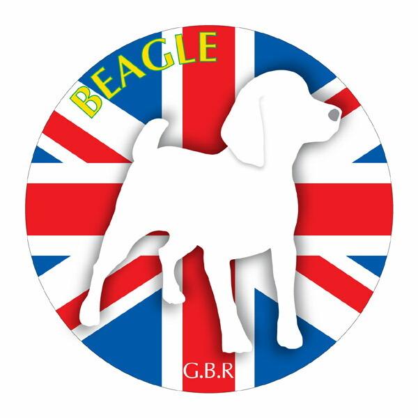 r[O }EXpbh  z z ObY  CXg  Aj} hbO }EXpbg   Ck VGbg e ANZT[