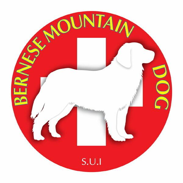 o[j[Y}EehbO }EXpbh  z z ObY  CXg  Aj} hbO }EXpbg   Ck VGbg e ANZT[