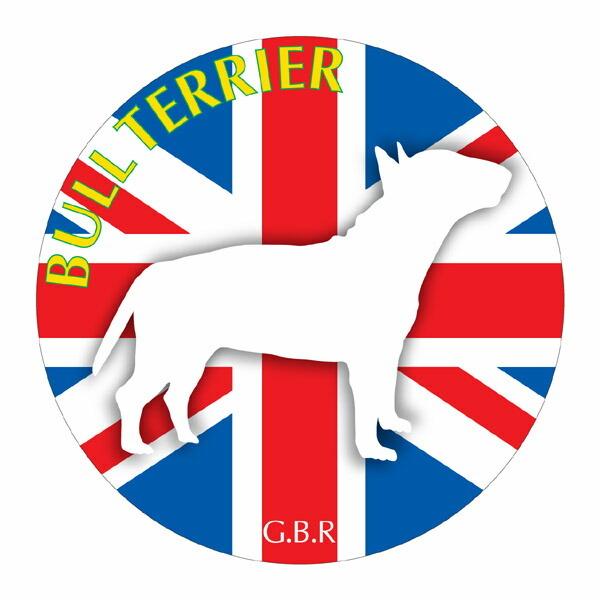 ueA }EXpbh  z z ObY  CXg  Aj} hbO }EXpbg   Ck VGbg e ANZT[