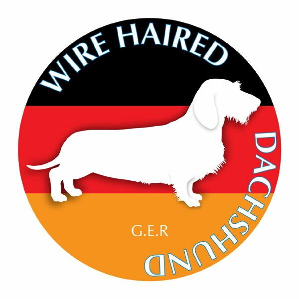 _bNXth C[ }EXpbh  z z ObY  CXg  Aj} hbO }EXpbg   Ck VGbg e ANZT[