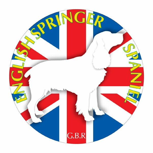 CObVXvK[XpjG }EXpbh  z z ObY  CXg Aj} hbO }EXpbg   Ck VGbg e ANZT[