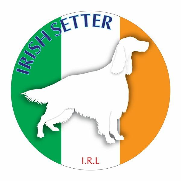 ACbVZ^[ }EXpbh  z z ObY  CXg  Aj} hbO }EXpbg   Ck VGbg e ANZT[