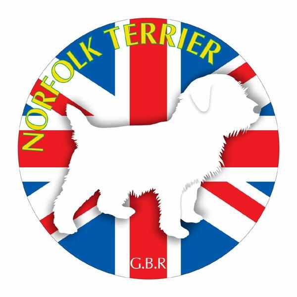 m?tH?NeA }EXpbh  z z ObY  CXg  Aj} hbO }EXpbg   Ck VGbg e ANZT[