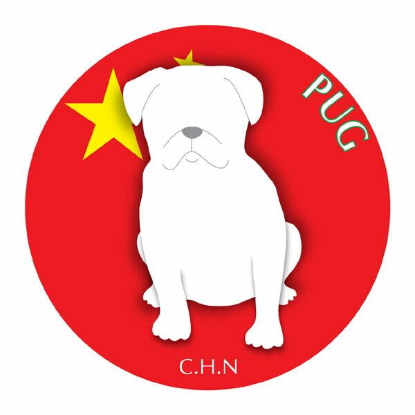 pO }EXpbh  z z ObY  CXg  Aj} hbO }EXpbg   Ck VGbg e ANZT[