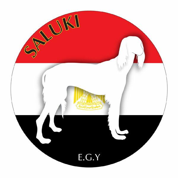 T[L }EXpbh  z z ObY  CXg  Aj} hbO }EXpbg   Ck VGbg e ANZT[