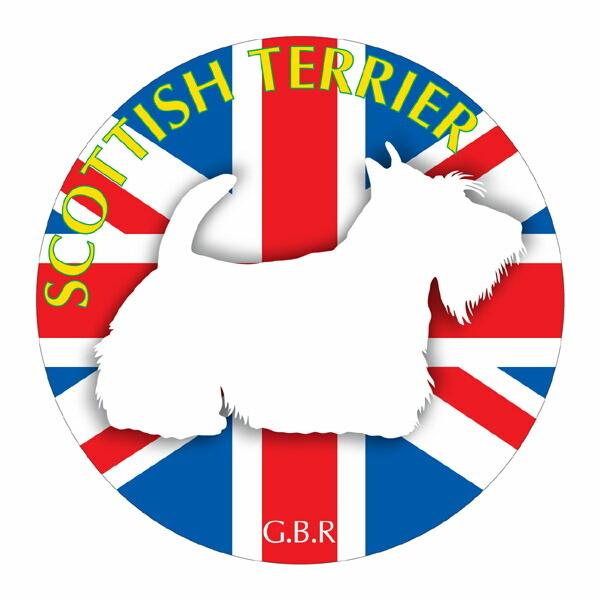 XReBbVeA }EXpbh  z z ObY  CXg  Aj} hbO }EXpbg XRb`   Ck VGbg e ANZT[