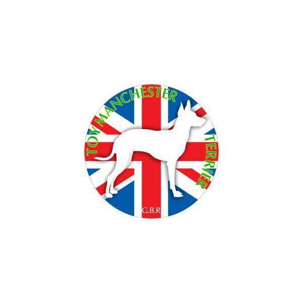 gC}`FX^[eA }EXpbh  z z ObY  CXg  Aj} hbO }EXpbg   Ck VGbg e ANZT[