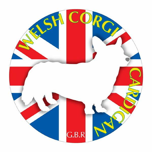 EFVR[M[J[fBA }EXpbh  z z ObY  CXg  Aj} hbO }EXpbg   Ck VGbg e ANZT[