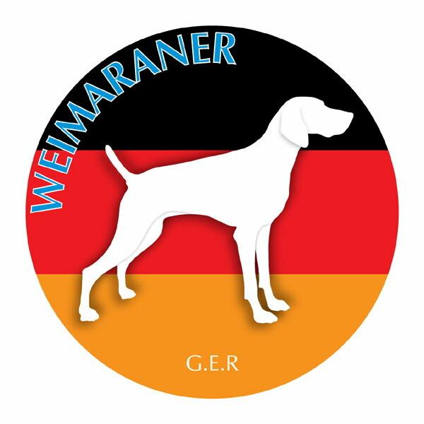 C}i[ }EXpbh  z z ObY  CXg  Aj} hbO }EXpbg   Ck VGbg e ANZT[