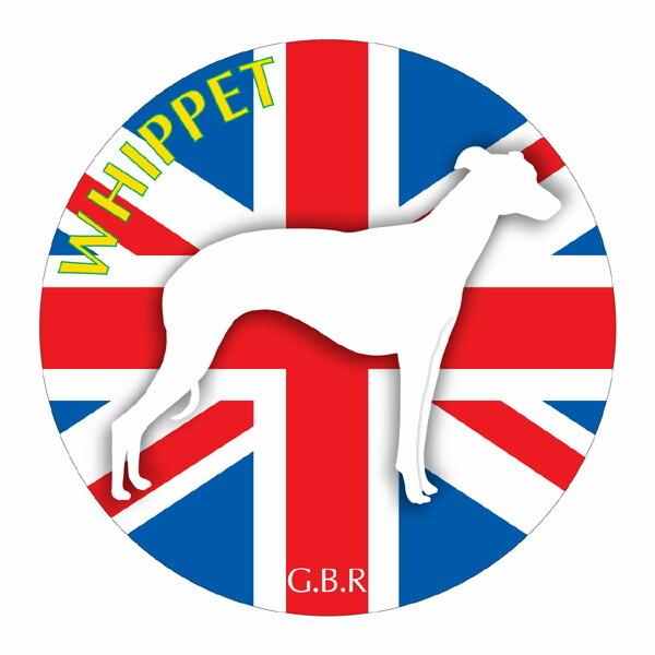 EBybg }EXpbh  z z ObY  CXg  Aj} hbO }EXpbg   Ck VGbg e ANZT[