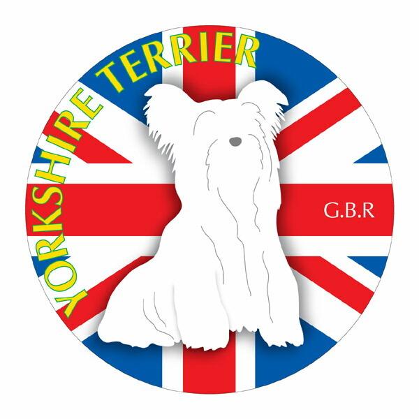 [NV[eA }EXpbh  z z ObY  CXg  Aj} hbO }EXpbg [L[   Ck VGbg e ANZT[