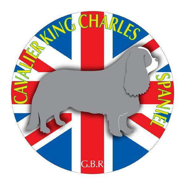 LoALO`[YXpjG }EXpbh  z z ObY  CXg Aj} hbO }EXpbg   Ck VGbg e