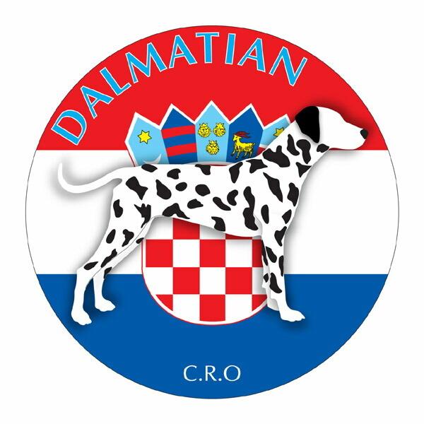 _VA }EXpbh  z z ObY  CXg  Aj} hbO }EXpbg   Ck VGbg e ANZT[