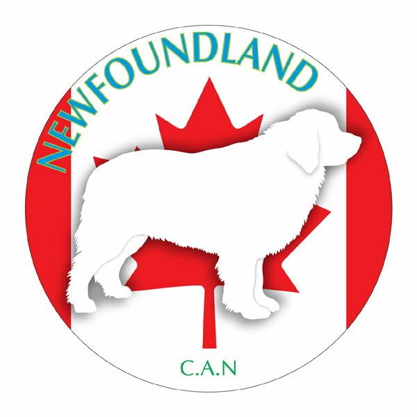 ニューファンドランド マウスパッド 吸盤 吸着 グッズ 動物 イラスト 癒し アニマル ドッグ マウスパット 犬 いぬ イヌ シルエット 影 アクセサリー Smp New01 犬の介護ハーネス ワラジンドッグ 通販 Yahoo ショッピング