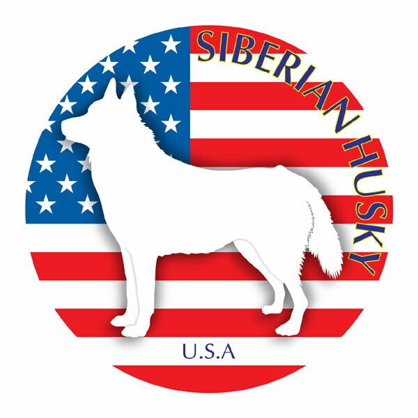 VxAnXL[ }EXpbh  z z ObY  CXg  Aj} hbO }EXpbg   Ck VGbg e ANZT[