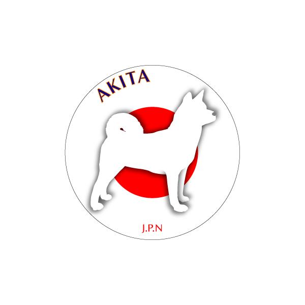 hbOXebJ[܂ Hc STCY 31Zbg