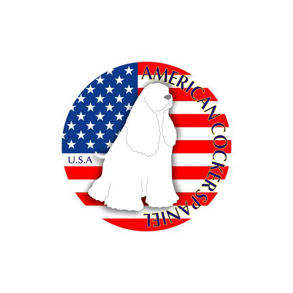 hbOXebJ[܂ AJRbJ[XpjG LTCY