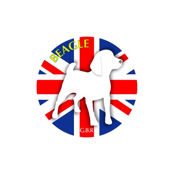 hbOV[XebJ[܂ r[O MTCY 21Zbg