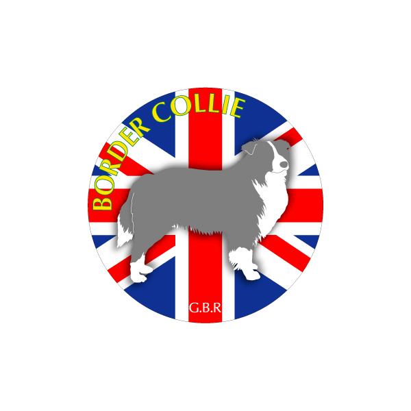 hbOV[XebJ[܂ {[_[R[ STCY 31Zbg