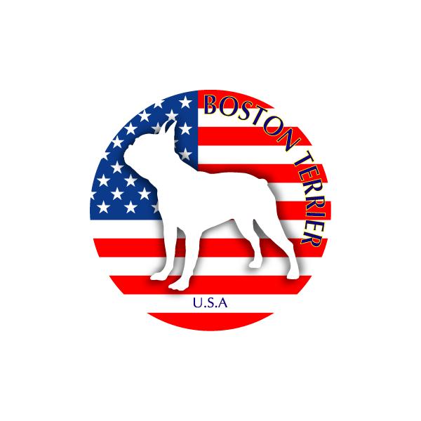 hbOV[XebJ[܂ {XgeA LTCY