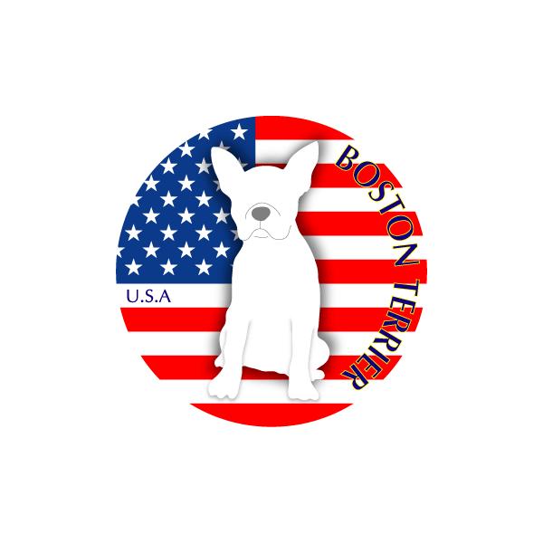 hbOV[XebJ[܂ {XgeA LTCY