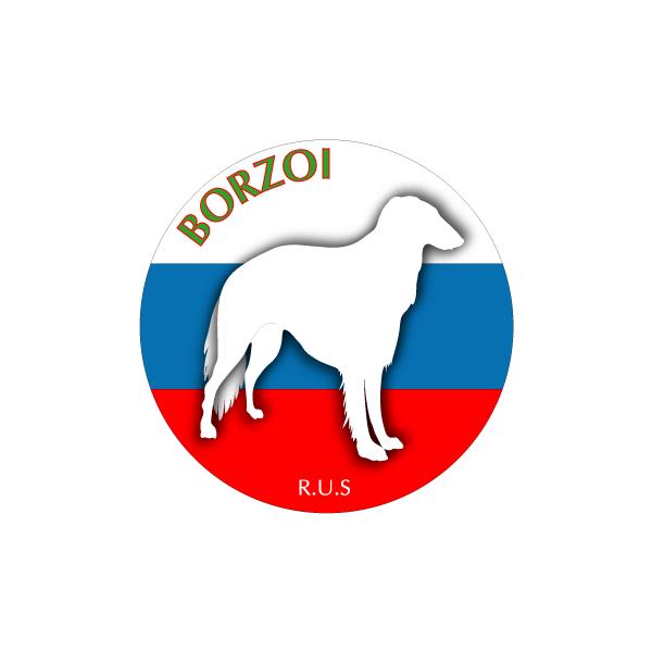 hbOV[XebJ[܂ {]C STCY 31Zbg