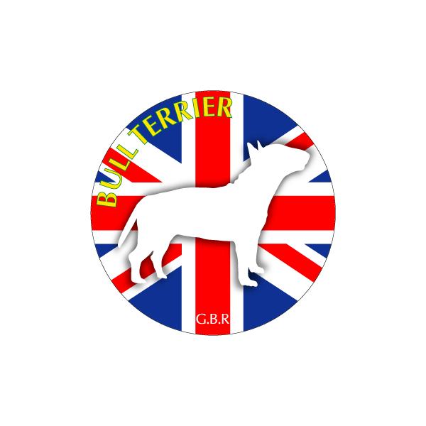 hbOV[XebJ[܂ ueA STCY 31Zbg