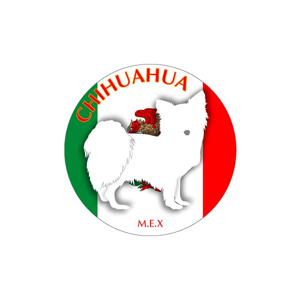 hbOV[XebJ[܂ ` O MTCY 21Zbg