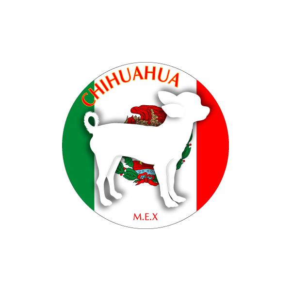 hbOV[XebJ[܂ `@X[X STCY 31Zbg