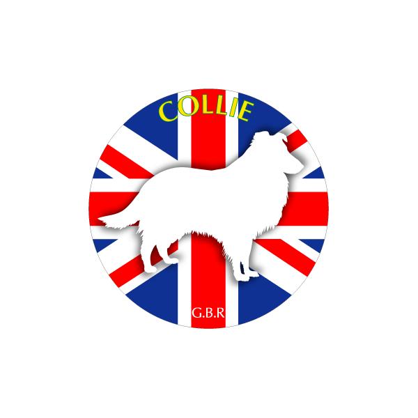 hbOV[XebJ[܂ R[ LTCY