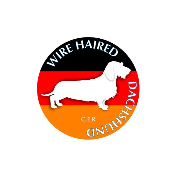 hbOV[XebJ[܂ _bNXth C[ LTCY