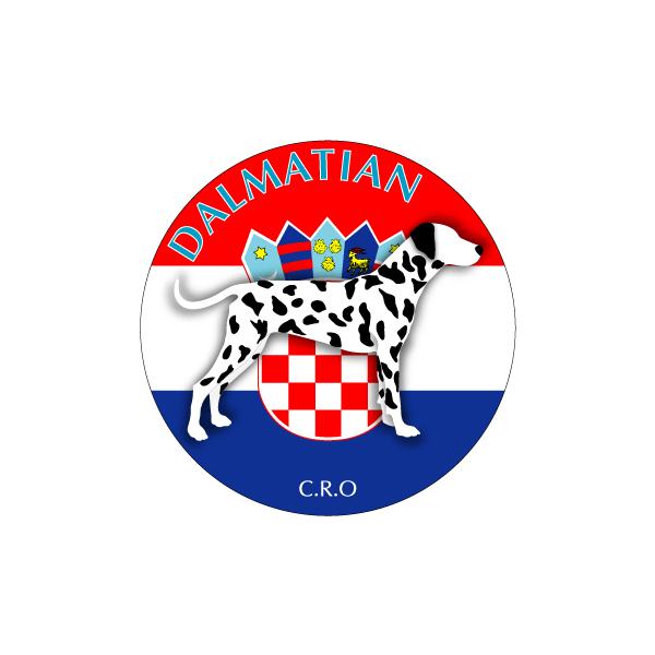 hbOV[XebJ[܂ _VA STCY 31Zbg