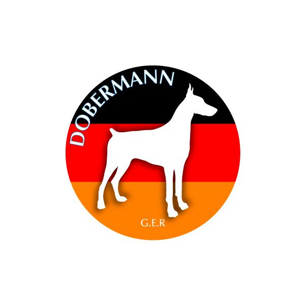 hbOV[XebJ[܂ h[x} MTCY 21Zbg