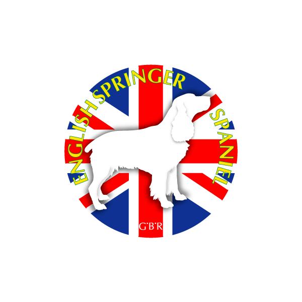 hbOV[XebJ[܂ CObVXvK[XpjG MTCY 21Zbg