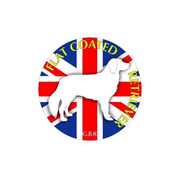 hbOV[XebJ[܂ tbgR[ebhg[o[ MTCY 21Zbg