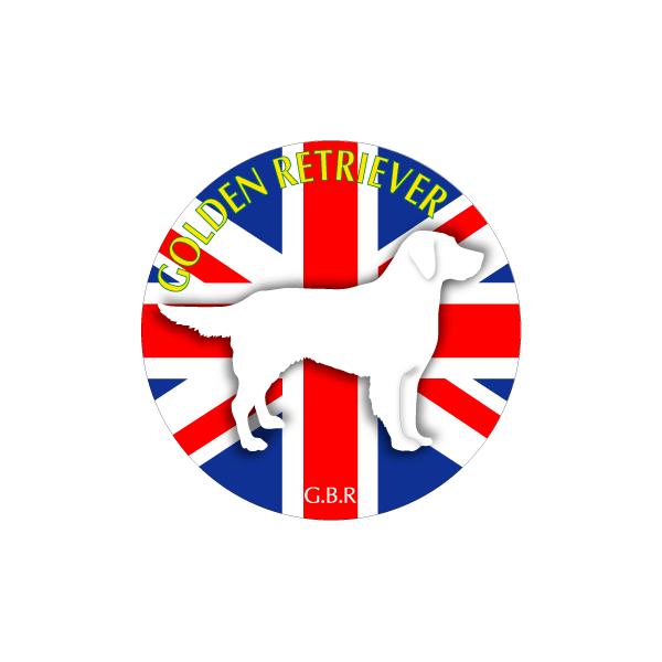 hbOV[XebJ[܂ S[fg[o[ MTCY 21Zbg