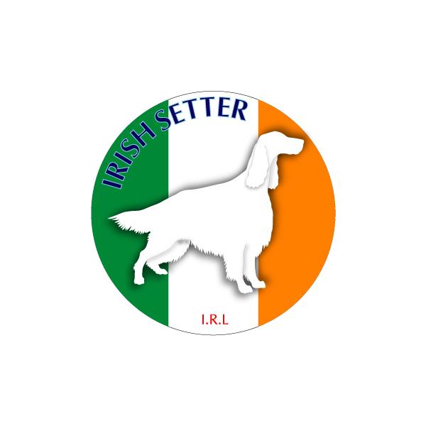 hbOXebJ[܂ ACbVEZ^| STCY 31Zbg