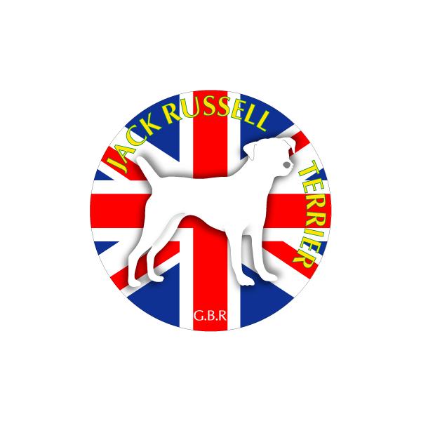 hbOV[XebJ[܂ WbNbZeA STCY 31Zbg