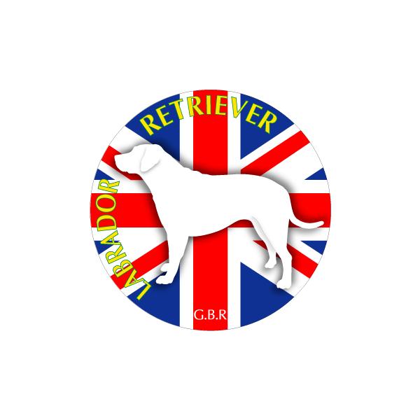 hbOV[XebJ[܂ uh[g[o[ MTCY 21Zbg