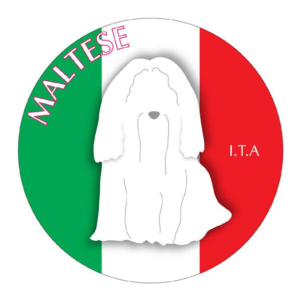 hbOV[XebJ[܂ }`[Y STCY 31Zbg