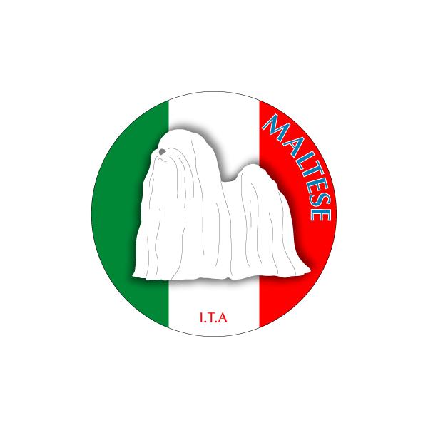 hbOV[XebJ[܂ }`[Y NEW@STCY 31Zbg