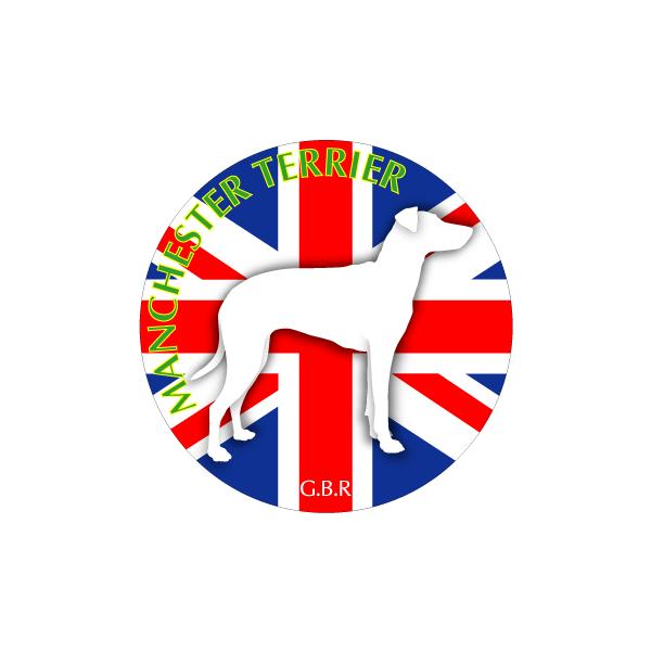 hbOV[XebJ[܂ }`FX^[eA MTCY 21Zbg