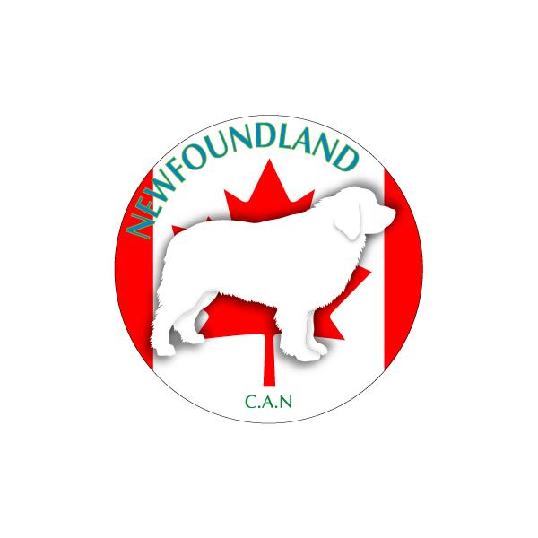 hbOV[XebJ[܂ j[t@hh LTCY