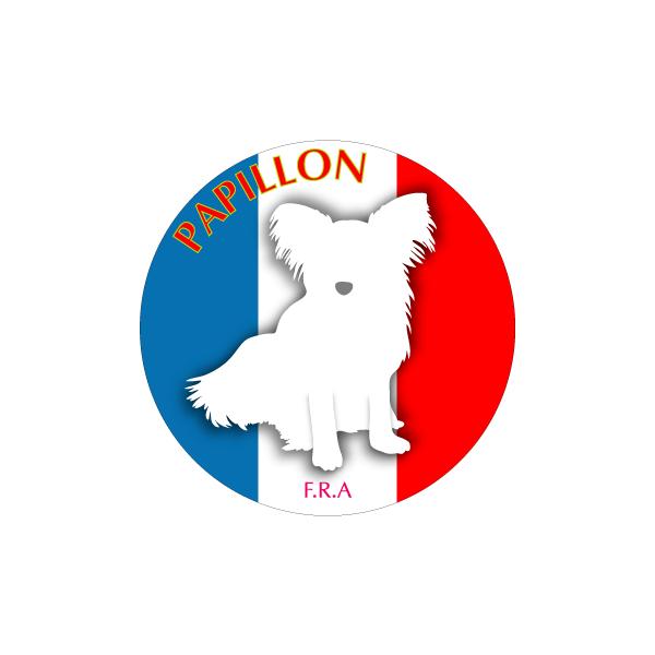 hbOV[XebJ[܂ ps STCY 31Zbg